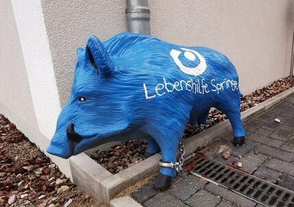 Lebenshilfe Springe Wildschwein Blau