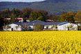 Ein Blick übers Feld auf den Garten des Wohnbereichs